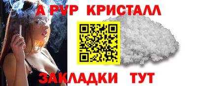 ECSTASY Гагарин