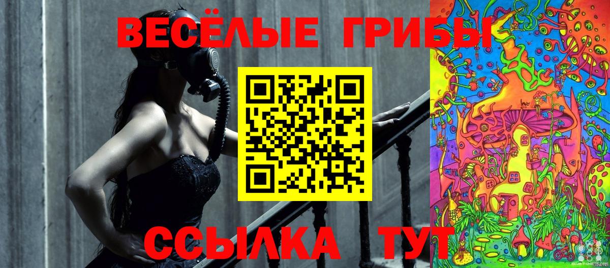 Галлюциногенные грибы мицелий Губкинский