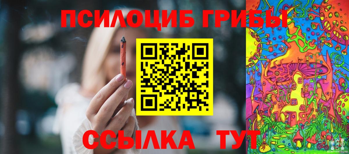 Губкинский  где найти наркотики  Вход с VPN  Галлюциногенные грибы Cubensis 